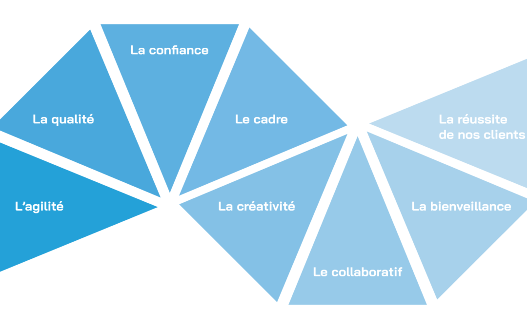 Les 8 valeurs d’Octinov
